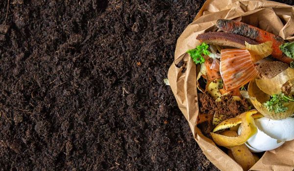 paper bag with food and kitchen scraps sitting on bed of finished compost
