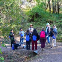 students on Youth Exploring Climate Science field trip on trail at Skyline Ridge Preserve