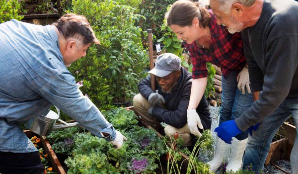 four community members looking at a community garden planter bed